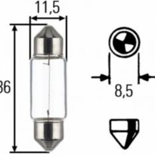 Glühlampe Soffitte 24V C5W Kennzeichen